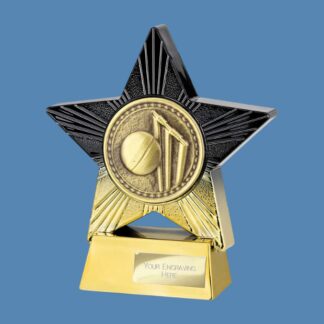 Superstar Cricket Award PA250343B